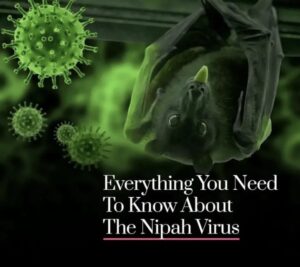 Read more about the article The Deadly Nipah Virus: A Lethal Zoonotic Disease