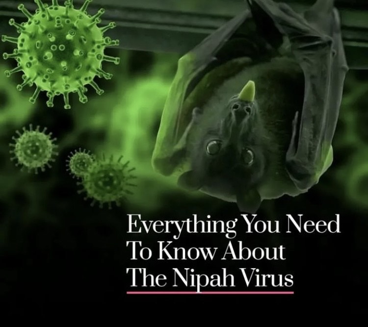 You are currently viewing The Deadly Nipah Virus: A Lethal Zoonotic Disease