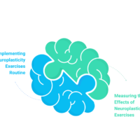 10 Life-Changing Astounding Neuroplasticity Exercises to Rewire Your Brain